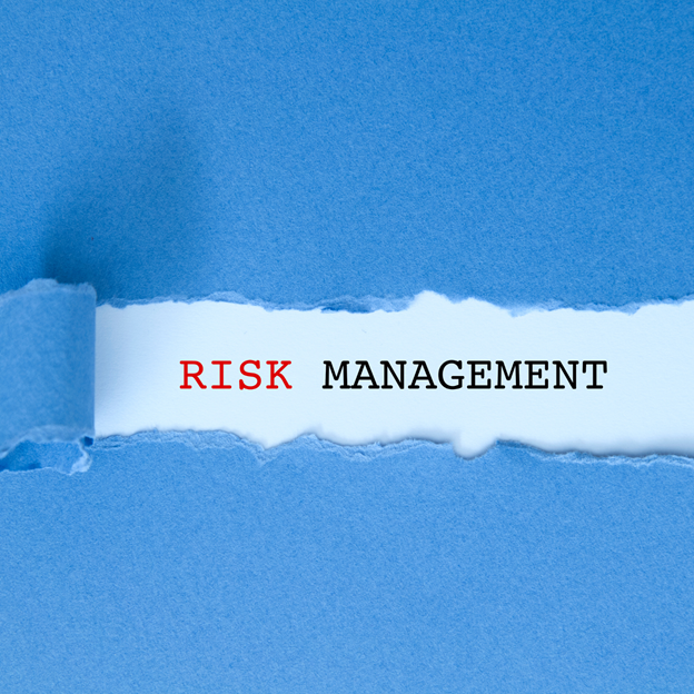 Risk Management: Seeing the Big Picture
